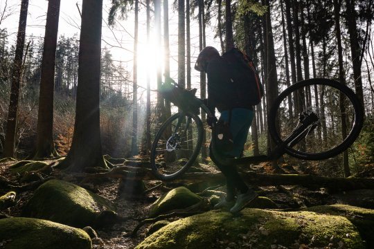 Kickbike Gravel V2